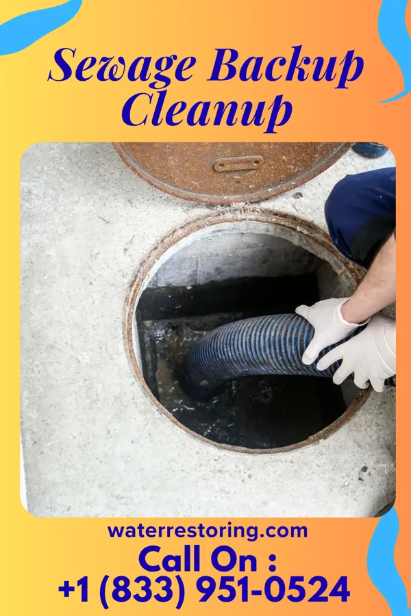 Sewage Backup Cleanup in Mount Summit, IN
